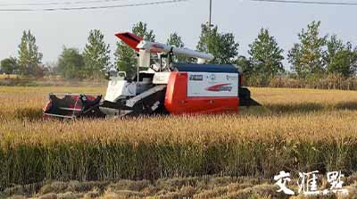 移動物聯(lián)網(wǎng)應用①｜手機上種田，無人化種田！智慧農(nóng)場“智”在哪？