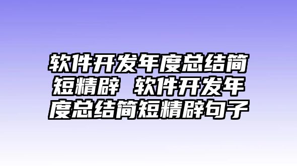 軟件開發年度總結簡短精辟 軟件開發年度總結簡短精辟句子