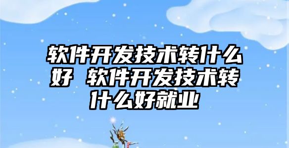軟件開發技術轉什么好 軟件開發技術轉什么好就業